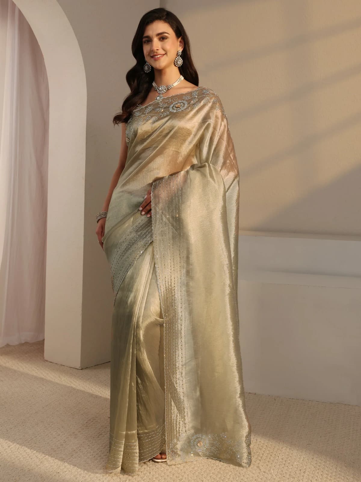 Saree fabric detail